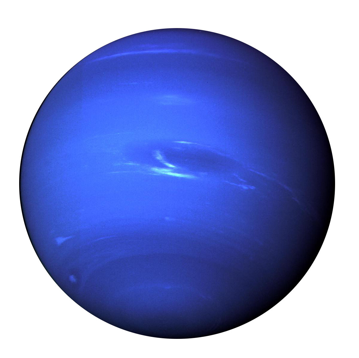Neptunus